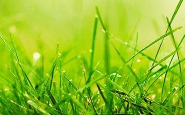 ENVIRONMENTAL FRIENDLINESS ENVIRONMENTAL FRIENDLINESS